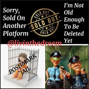 BEACH BUNNY Orange Sequin Paparazzi Top XL Tie Side Bottom L Bikini $250